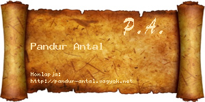 Pandur Antal névjegykártya